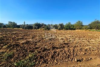 TORBALI ORMANKÖY SATILIK 3.707 M2 TARLA