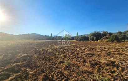 TORBALI ORMANKÖY SATILIK 3.707 M2 TARLA