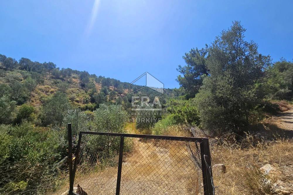 SEFERİHİSAR ORHANLI SATILIK 38.000 M2 ARAZİ