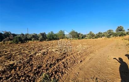 TORBALI ORMANKÖY SATILIK 3.707 M2 TARLA