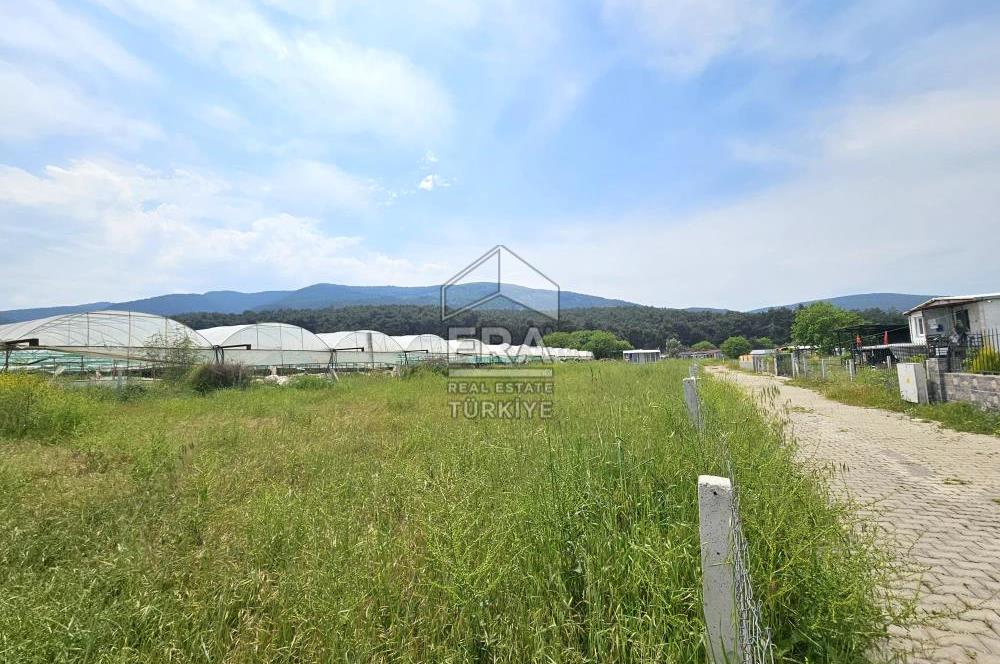 MENDERES DEĞİRMENDERE SATILIK 300 M2 KOOPERATİF HİSSELİ ARSA