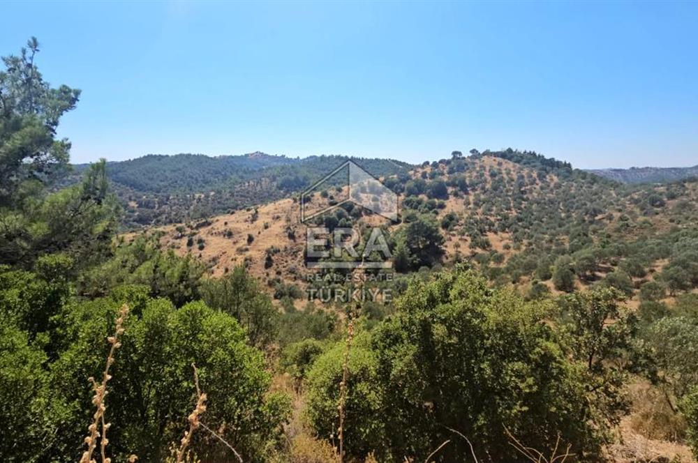 SEFERİHİSAR ORHANLI SATILIK 38.000 M2 ARAZİ