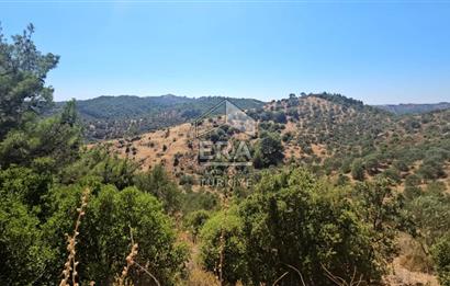 SEFERİHİSAR ORHANLI SATILIK 38.000 M2 ARAZİ