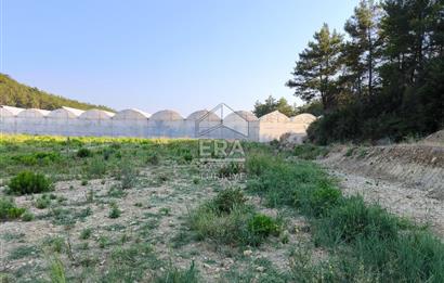 ANTALYA MANAVGAT KADILAR MH 5127 M2 SATILIK TARLA 