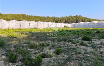 ANTALYA MANAVGAT KADILAR MH 5127 M2 SATILIK TARLA 