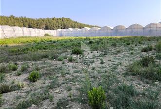 ANTALYA MANAVGAT KADILAR MH 5127 M2 SATILIK TARLA 