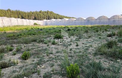 ANTALYA MANAVGAT KADILAR MH 5127 M2 SATILIK TARLA 
