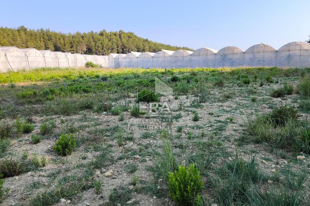 ANTALYA MANAVGAT KADILAR MH 5127 M2 SATILIK TARLA 