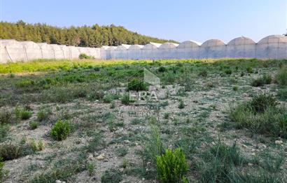 ANTALYA MANAVGAT KADILAR MH 5127 M2 SATILIK TARLA 