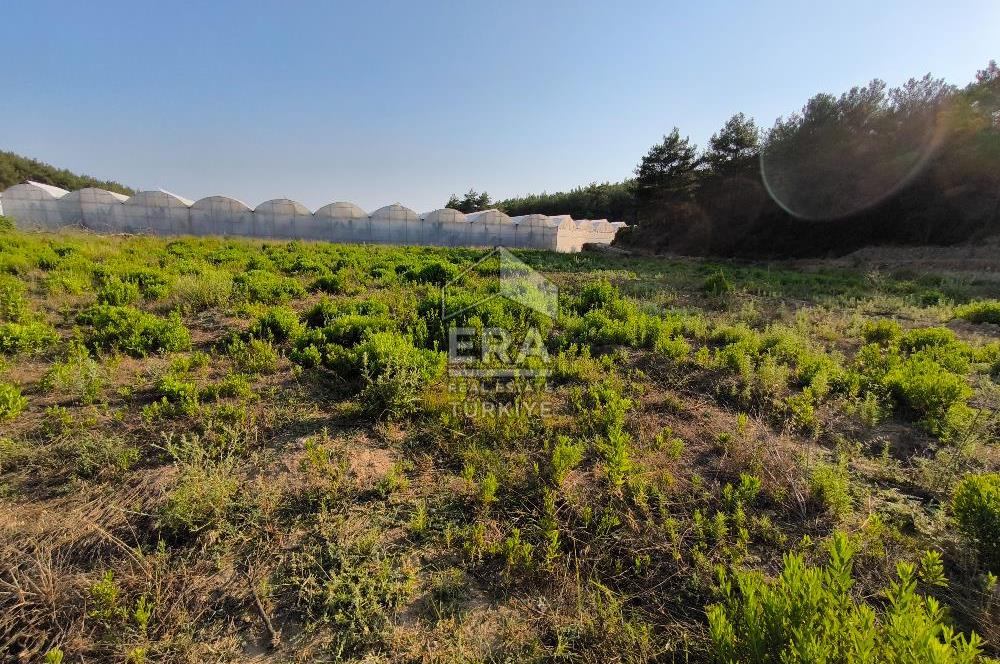 ANTALYA MANAVGAT KADILAR MH 5127 M2 SATILIK TARLA 
