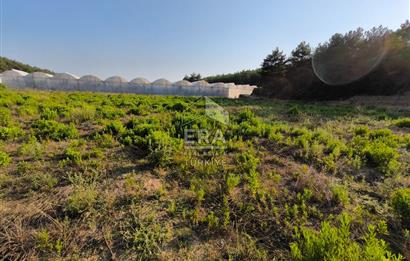 ANTALYA MANAVGAT KADILAR MH 5127 M2 SATILIK TARLA 