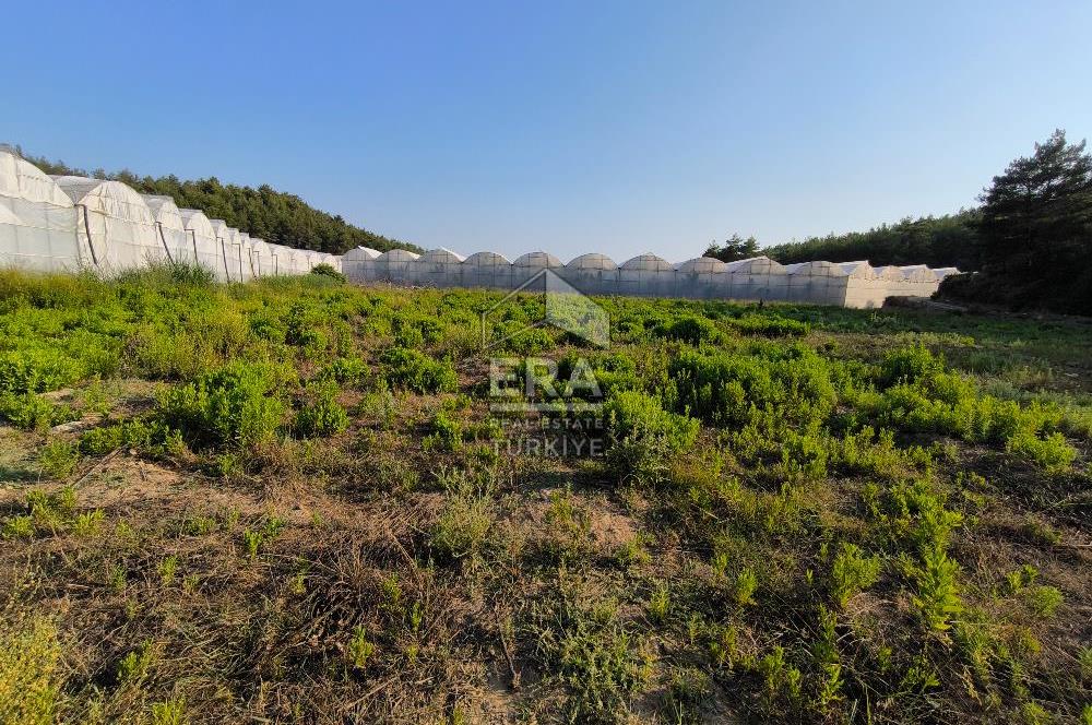ANTALYA MANAVGAT KADILAR MH 5127 M2 SATILIK TARLA 