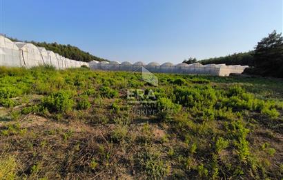 ANTALYA MANAVGAT KADILAR MH 5127 M2 SATILIK TARLA 