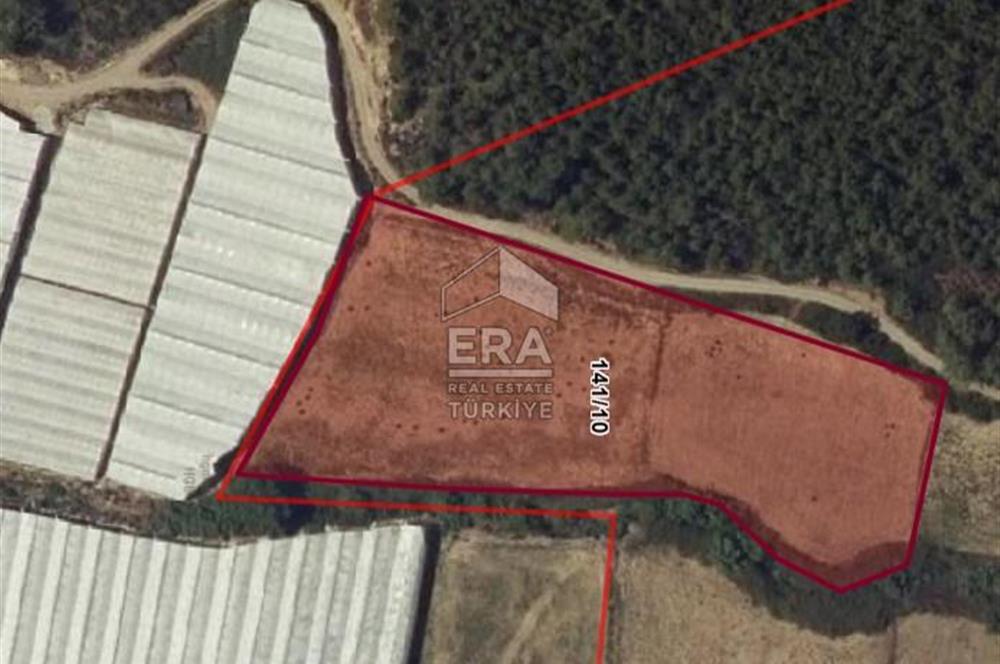 ANTALYA MANAVGAT KADILAR MH 5127 M2 SATILIK TARLA 