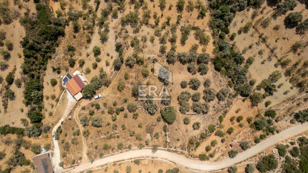 Datça Cumalı'da Satılık 1.830m2 Bademlik Tarla