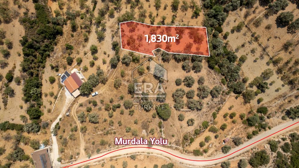 Datça Cumalı'da Satılık 1.830m2 Bademlik Tarla