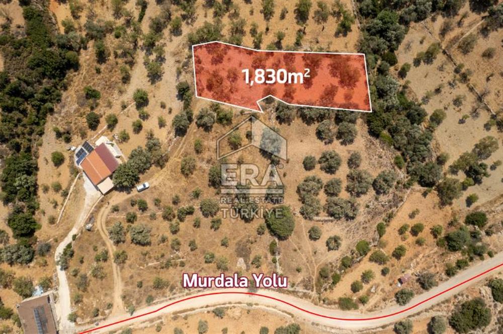 Datça Cumalı'da Satılık 1.830m2 Bademlik Tarla