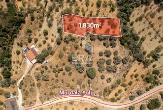 Datça Cumalı'da Satılık 1.830m2 Bademlik Tarla