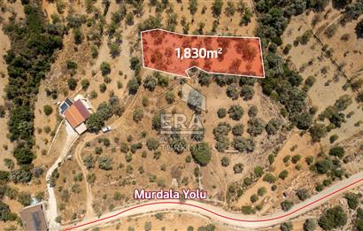 Datça Cumalı'da Satılık 1.830m2 Bademlik Tarla