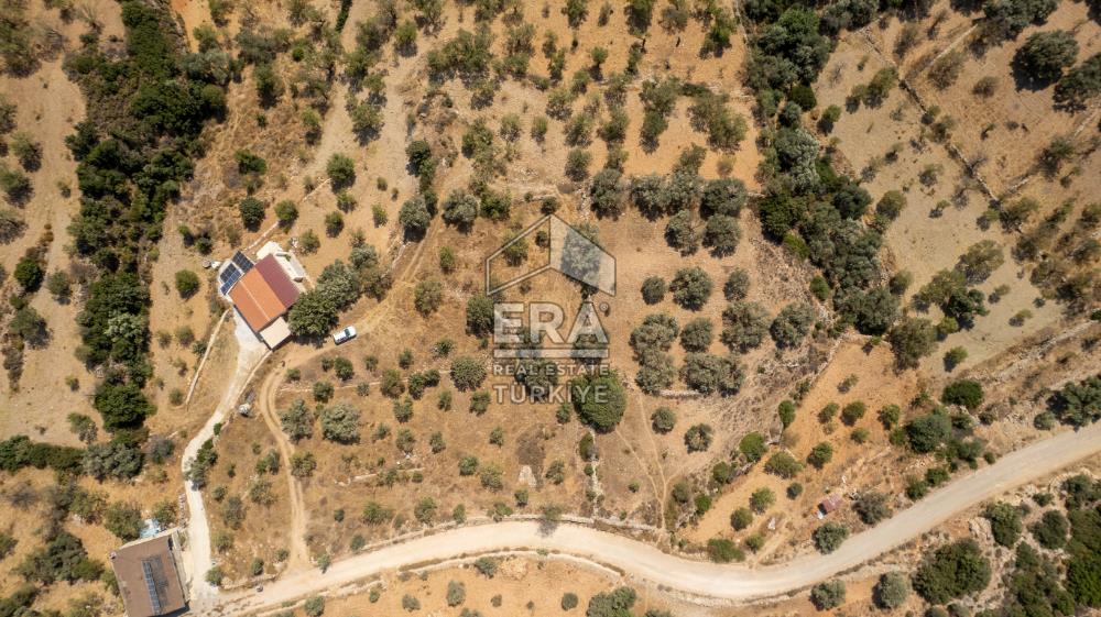 Datça Cumalı'da Satılık 1.830m2 Bademlik Tarla