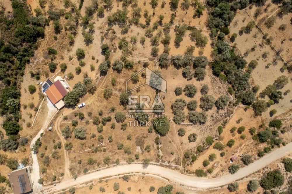 Datça Cumalı'da Satılık 1.830m2 Bademlik Tarla