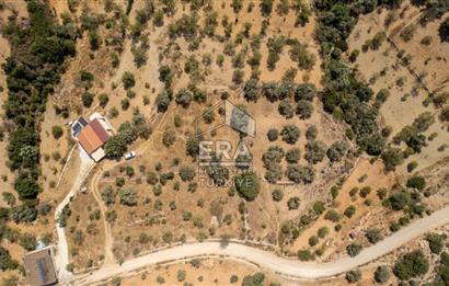 Datça Cumalı'da Satılık 1.830m2 Bademlik Tarla