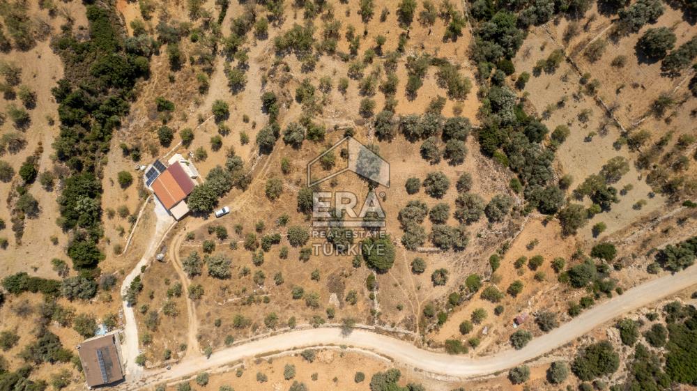 Datça Cumalı'da Satılık 1.830m2 Bademlik Tarla
