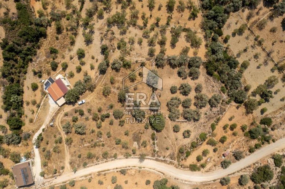 Datça Cumalı'da Satılık 1.830m2 Bademlik Tarla