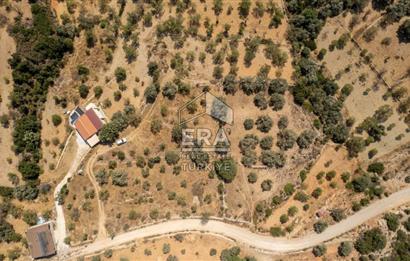 Datça Cumalı'da Satılık 1.830m2 Bademlik Tarla