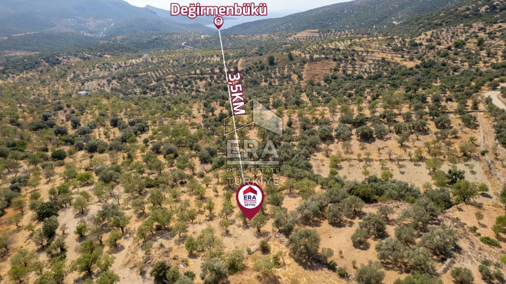 Datça Cumalı'da Satılık 1.830m2 Bademlik Tarla