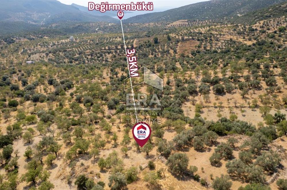 Datça Cumalı'da Satılık 1.830m2 Bademlik Tarla