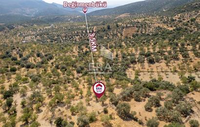 Datça Cumalı'da Satılık 1.830m2 Bademlik Tarla