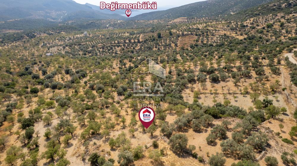 Datça Cumalı'da Satılık 1.830m2 Bademlik Tarla