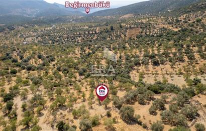 Datça Cumalı'da Satılık 1.830m2 Bademlik Tarla