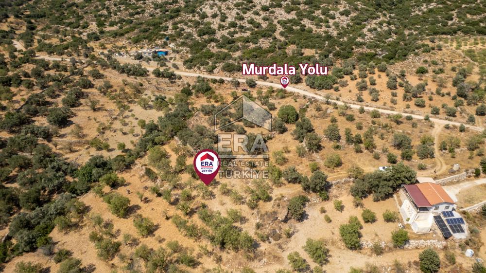 Datça Cumalı'da Satılık 1.830m2 Bademlik Tarla