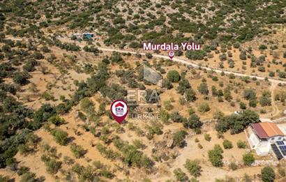 Datça Cumalı'da Satılık 1.830m2 Bademlik Tarla