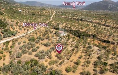 Datça Cumalı'da Satılık 1.830m2 Bademlik Tarla