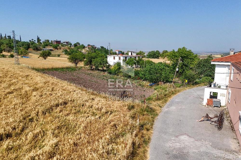 ERA SÖZ'DEN ALTIEYLÜL KABAKLI MH. SATILIK 950 M² 1/100000 ÖLÇEKLİ TARLA