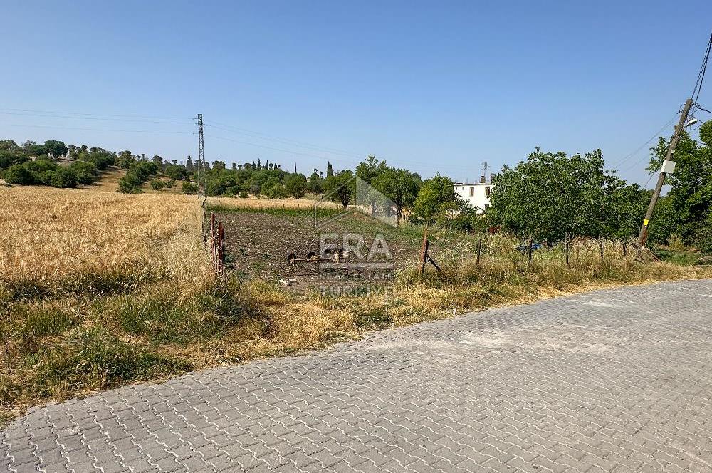 ERA SÖZ'DEN ALTIEYLÜL KABAKLI MH. SATILIK 950 M² 1/100000 ÖLÇEKLİ TARLA