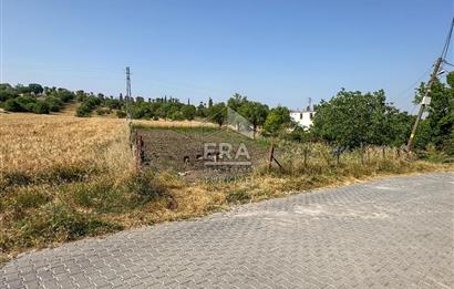ERA SÖZ'DEN ALTIEYLÜL KABAKLI MH. SATILIK 950 M² 1/100000 ÖLÇEKLİ TARLA