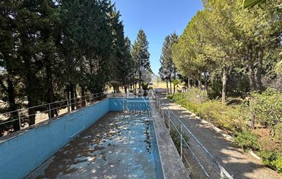 FOÇA ILIPINAR ANAYOL ÜZERİ SATILIK ÇİFTLİK EVİ