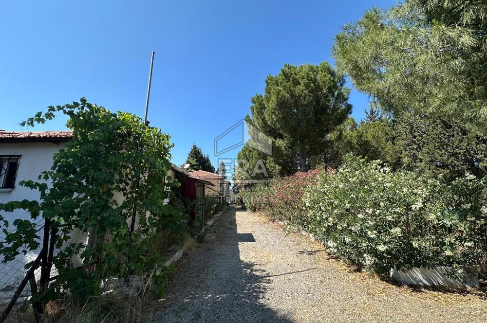 FOÇA ILIPINAR ANAYOL ÜZERİ SATILIK ÇİFTLİK EVİ