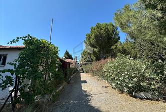 FOÇA ILIPINAR ANAYOL ÜZERİ SATILIK ÇİFTLİK EVİ