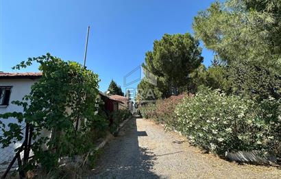 FOÇA ILIPINAR ANAYOL ÜZERİ SATILIK ÇİFTLİK EVİ