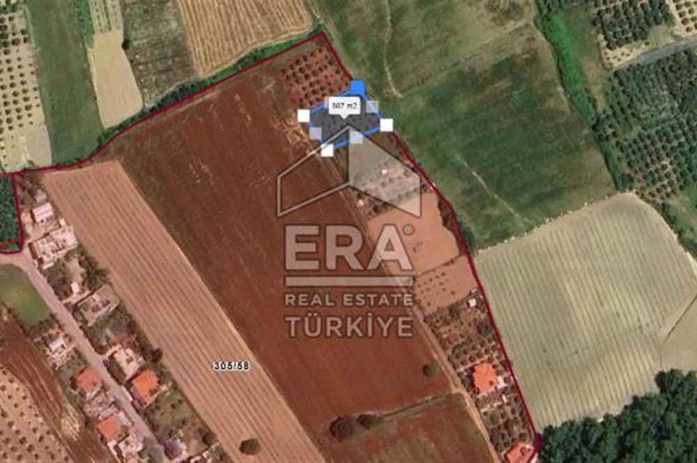 ANTALYA MANAVGAT HATIPLAR'DA SATILIK 989 m2 TARLA