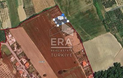 ANTALYA MANAVGAT HATIPLAR'DA SATILIK 989 m2 TARLA