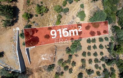 Datça Hızırşah'ta Satılık 916,40m2 Zeytinlik Tarla