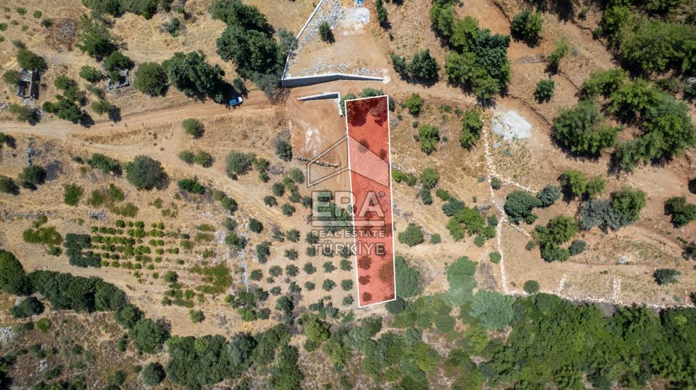 Datça Hızırşah'ta Satılık 916,40m2 Zeytinlik Tarla