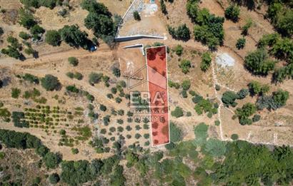 Datça Hızırşah'ta Satılık 916,40m2 Zeytinlik Tarla