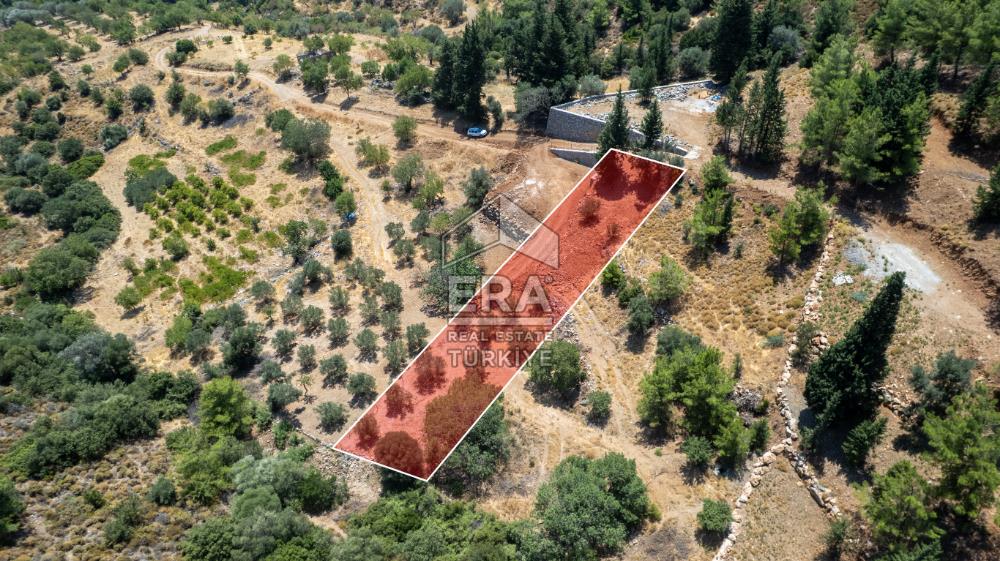 Datça Hızırşah'ta Satılık 916,40m2 Zeytinlik Tarla